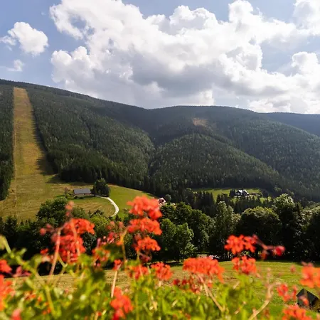 Guest house Pension Slunecnice & Panorama Restaurace Farma 3*