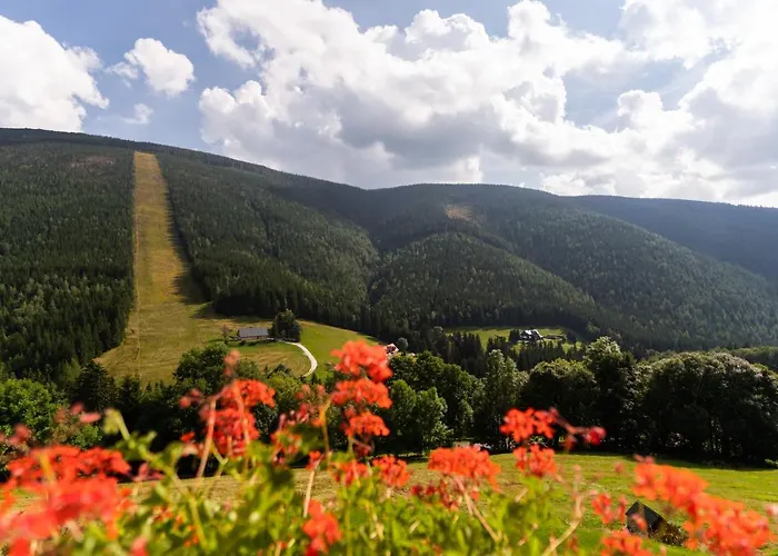Affittacamere Slunečnice 3*