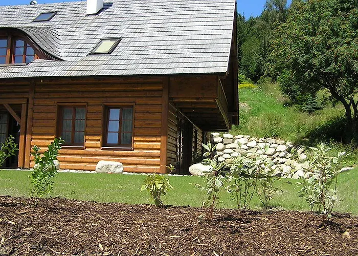 Slunečnice Špindlerŭv Mlýn